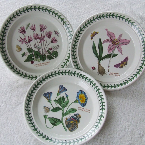 Botanic Garden Portmeirion Bread and Butter Plates Etsy