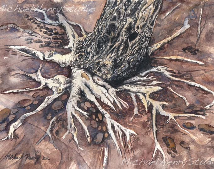 Printmaking Tree Roots Tree Roots Watercolor,persistence, Nature, Earth, Art, Tree Art, Wall ...