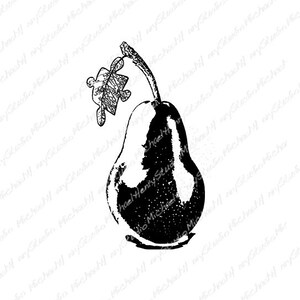 Puede incluir: Una ilustración en blanco y negro de una pera con una hoja. La pera está dibujada en un estilo realista con sombreado y detalles.