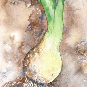 Green Onion Original Watercolor, Foodie, Kitchen Art, Food Art, Garden, Home Decor