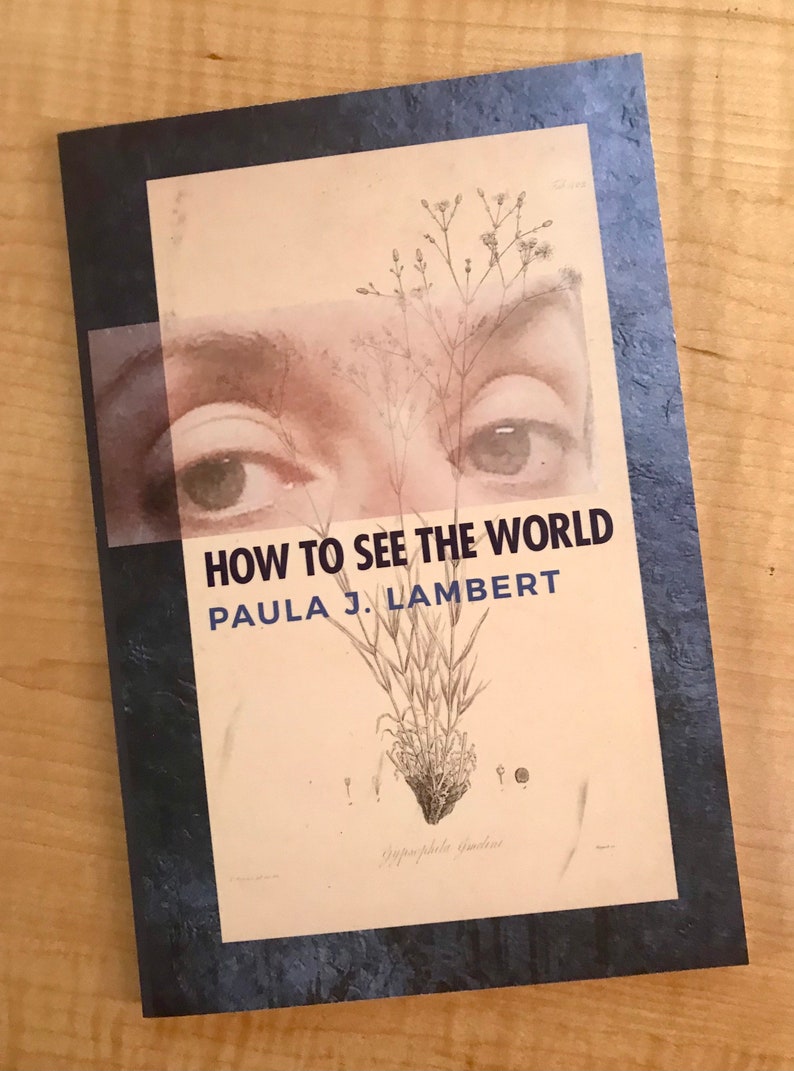 How to See the Worldsigned author copies image 1