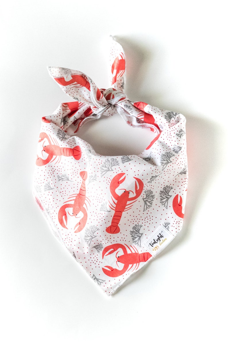 Lobster & Coral Bandana image 3