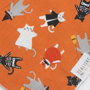 Cats in Costumes Bandana