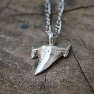 May include: A silver shark tooth pendant suspended from a fine chain. The pendant is a detailed replica of a shark's tooth, with its sharp, triangular form clearly visible. The necklace is presented on a rustic wooden surface.