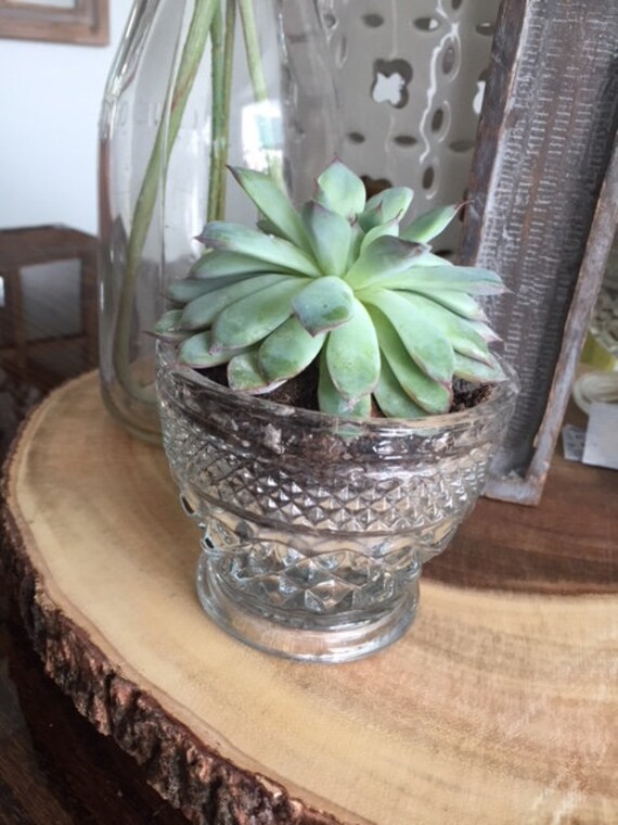 アンカーホッキングのヴィンテージオープンシュガーウェックスフォード