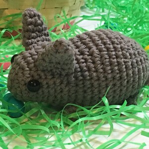 Dwarf Rabbit