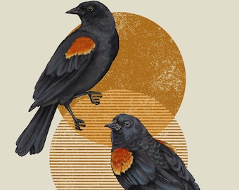 Red Winged Blackbirds Print by Amanda Laurel Atkins - Etsy