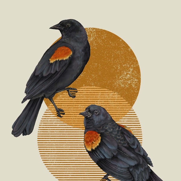 Red-Winged Blackbirds I