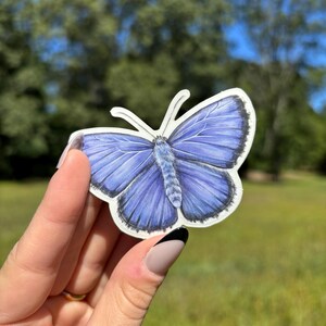 May include: A sticker featuring a detailed illustration of a blue butterfly with white accents. The butterfly has intricate wing patterns and is held against a blurred background of green grass and trees.