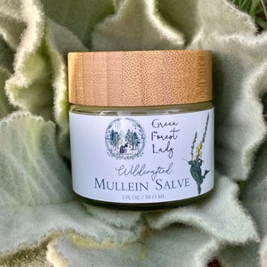 Wildcrafted Mullein Salve