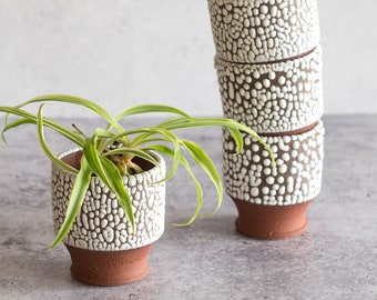 Mini Planter | Small Beaded Planter | Succulent Cactus | Terracotta Pot | Desert Decor | Wedding Present | Modern Ceramics | Boho Decor