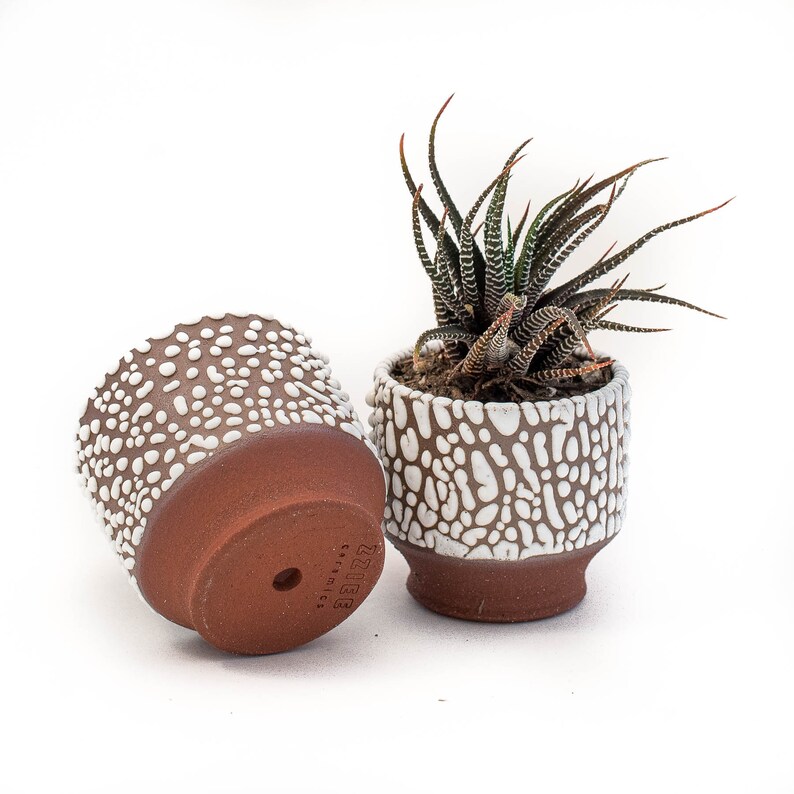 Mini Planter Small Beaded Planter Succulent Cactus Terracotta Pot Desert Decor Wedding Present Modern Ceramics Boho Decor image 5
