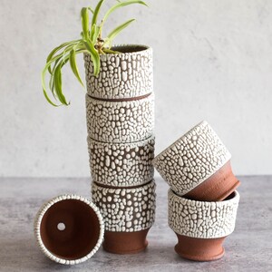 Mini Planter Small Beaded Planter Succulent Cactus Terracotta Pot Desert Decor Wedding Present Modern Ceramics Boho Decor image 4