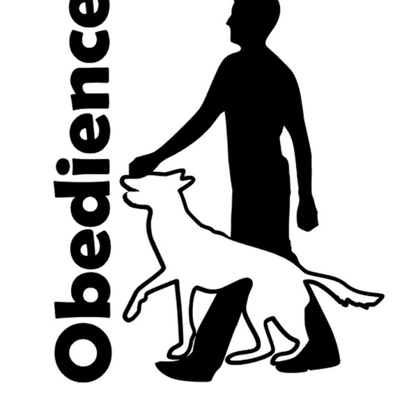 Dog Sports Stickers - Etsy