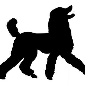 Sticker Purebred Dog Poodle No. 4