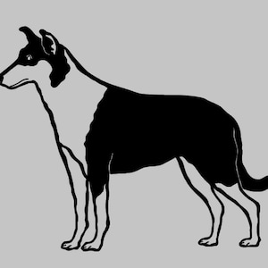 Sticker Purebred Dog Shorthaired Collie No. 2