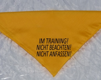 Dog bandana in training! Ignore! Do not touch!