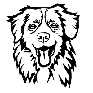 Sticker purebred dog Nova Scotia Duck Tolling Retriever