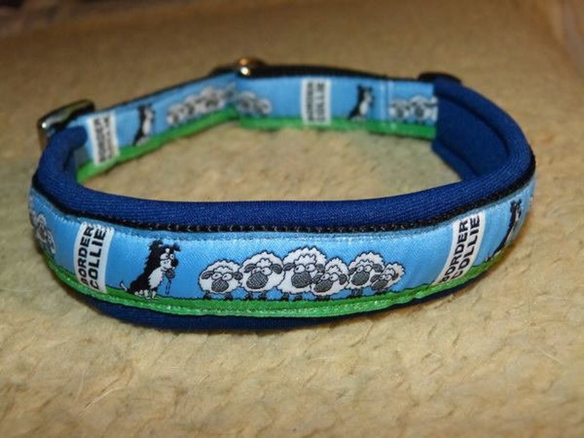 Collar Border Collie No. 3 Etsy