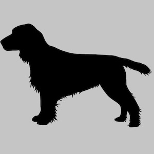Sticker purebred dog Working Cocker