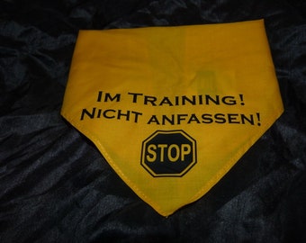 Dog bandana in training