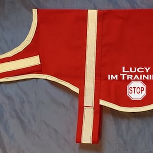 reflective vest, luminous vest, identification blanket, identification vest with reflector for dogs in training with desired name