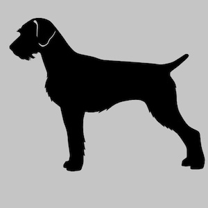 Può includere: Silhouette nera di un Bracco tedesco a pelo corto in piedi con la testa girata a sinistra.
