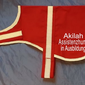 gilet catarifrangente, gilet leggero, coperta identificativa, gilet identificativo con catarifrangente per cani da assistenza in addestramento con nome desiderato