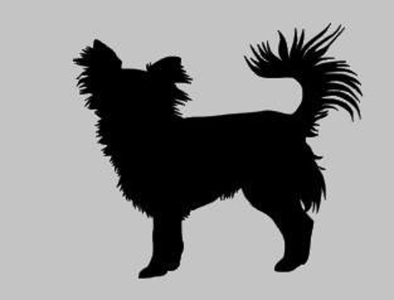 Sticker Purebred Dog Chihuahua Longhair Etsy