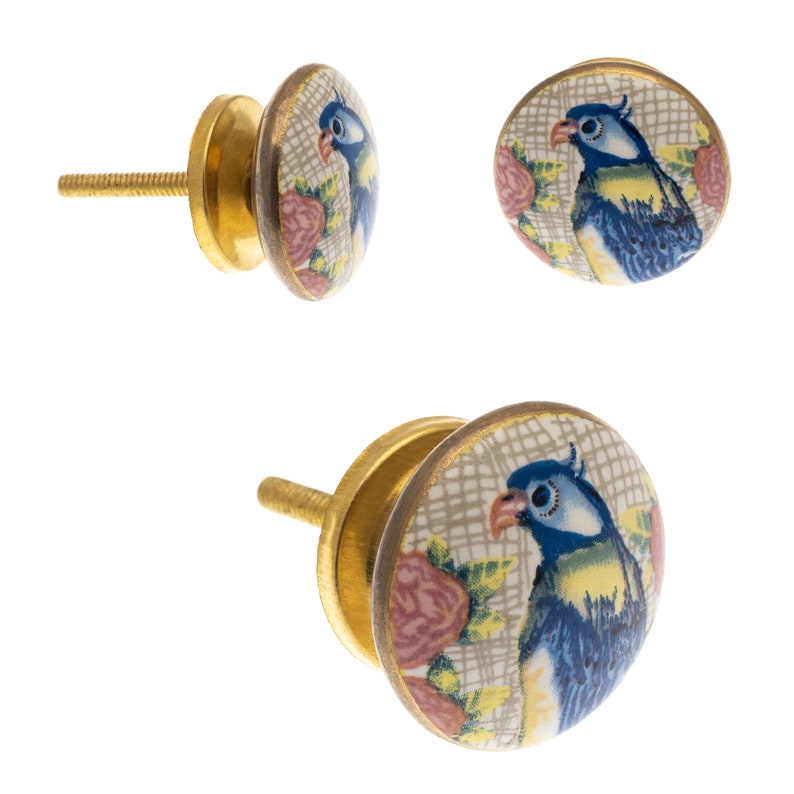 Door Knobs Grey, Blue, Turquoise and Eau de Nil Ceramic Vintage Birds Various Hand Painted Designs Cupboard Kitchen Cabinet Drawer Pulls 45. blue parrot gold