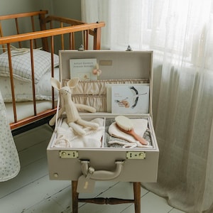 babydoosje | Haver memorybox | veganistische editie | cadeau voor nieuwe baby | vintage kinderkamerinrichting | kraamcadeau | geheugenkoffer | erfstuk