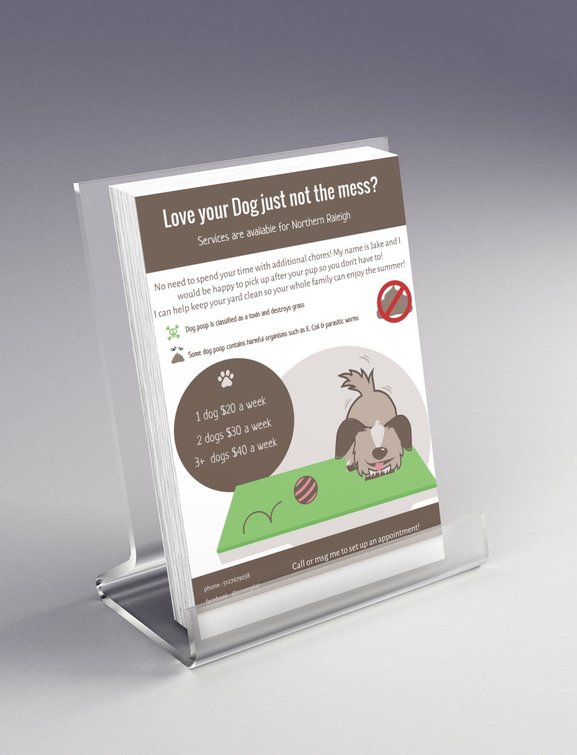 Personalized Dog Poop Scooping Flyer / Start Your Own Business Flyer