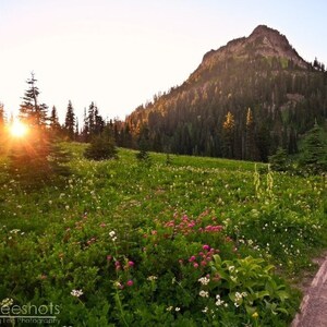 Tipsoo Lake and Wildflowers at Sunset Photo, Mt Rainier National Park Print, Rainier Art, Washington Landscape Photo, Mountain Scenery Print