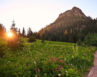 Tipsoo Lake Sunset Photo, Wildflower Meadow Print, Mt Rainier National Park Art