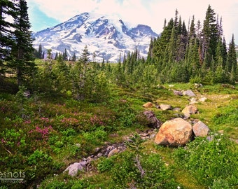 Mt Rainier National Park Photo, Golden Hour Sunset, Wildflower Meadow Print, Pacific Northwest Art