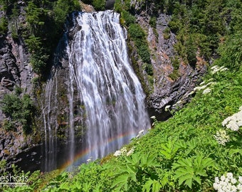 Narada Falls Print, Rainbow Waterfall, Mt Rainier National Park Art, Queen Annes Lace Wildflowers