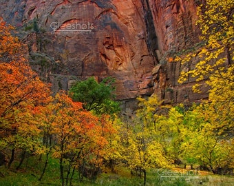 Zion National Park Fall Foliage Print, Utah Landscape Photography