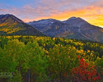 Mount Timpanogos Autumn Sunset Photo, Utah Fall Foliage Print, Wasatch Mountains Landscape Photography, Aspen Forest, Alpine Loop