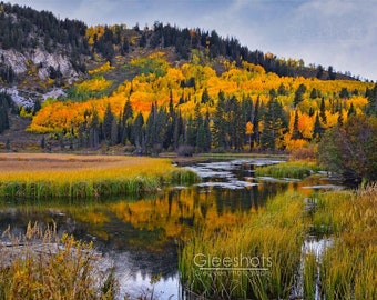 Silver Lake Utah Photo, Fall Foliage and Lake Reflection, Autumn, Big Cottonwood Canyon