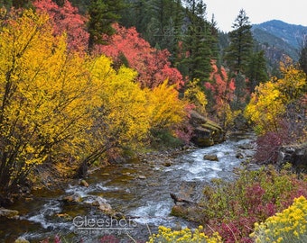 Logan River Autumn Photo, Logan Canyon Utah Fall Foliage Print