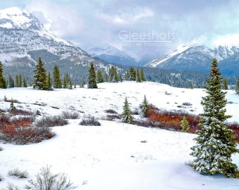 Colorado Winter Photo, Mountain Photography, Landscape Art, Snow Photo, Molas Pass, Durango, Silverton, Million Dollar Highway, Christmas