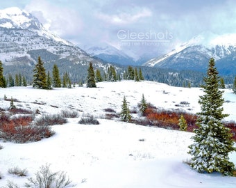 Molas Pass Photo, Colorado Winter Print, Rocky Mountains, Snow Photography, Christmas Art, Durango, Silverton, Million Dollar Highway