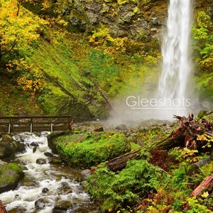 Oregon Waterfall Photo, Waterfall with Fall Foliage, Columbia River Gorge, Oregon Landscape Photography, Elowah Falls Print, Autumn Colors