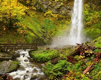 May include: A lush green forest with a waterfall cascading down a rocky cliff. A wooden bridge spans a small stream in the foreground, with fallen logs and moss-covered rocks scattered throughout the scene.