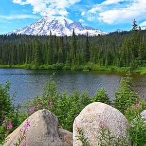 Reflection Lake Photo, Mt Rainier National Park Print, Mountain Lake Art, Lake with Wildflowers, Washington State, Landscape Photography