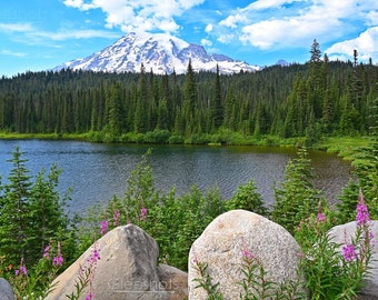 Mt Rainier Reflection Lake Wildflowers Photo, National Park Print, Washington State Art