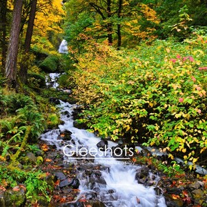 Waterfall and Autumn Colors Photo, Oregon Waterfall Print, Wahkeena Falls, Landscape Photography, Columbia River Gorge, Fall Foliage Art