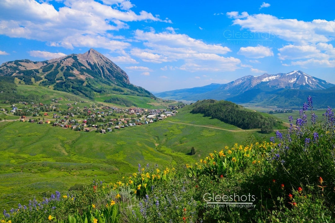 Crested Butte Photo Print Mt Crested Butte Photo Colorado Wildflower 