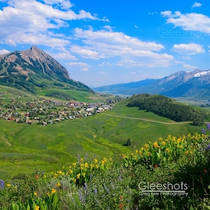 Crested Butte Photo, Mt Crested Butte Wall Art, Colorado Wildflower Print, Mountain Scenery, Colorado Landscape Photography