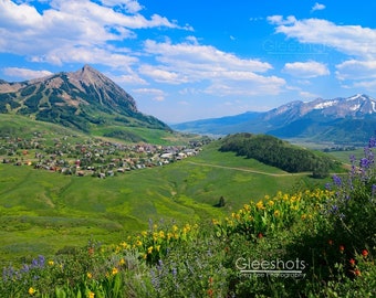 Mt Crested Butte Wildflower Print Panorama, Colorado Landscape Photo, Mountains and Wildflowers Art, Rockies